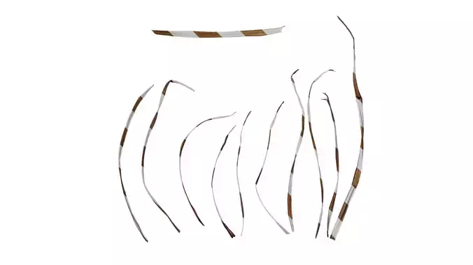 Anydrafts Carex dispalata Leaf 01