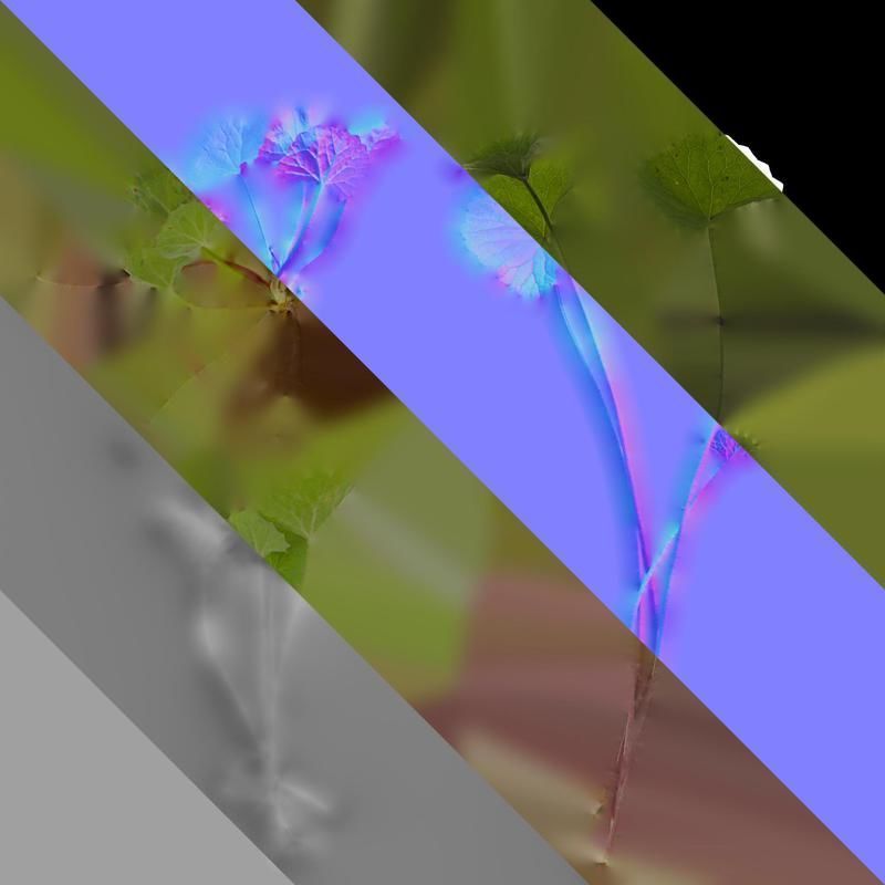 Anydrafts Centella asiatica Atlas 01 Texture_8