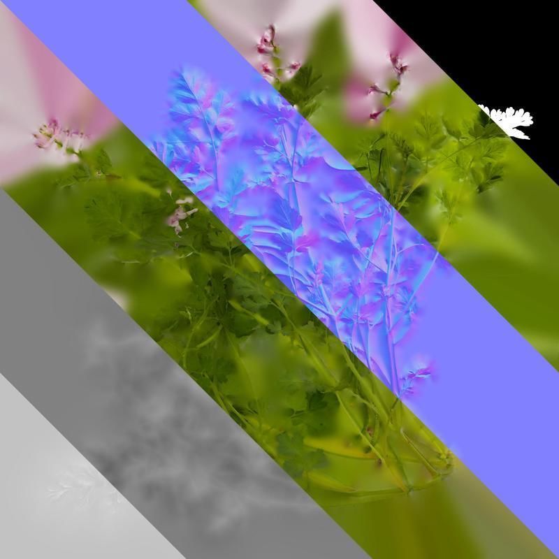 Anydrafts Corydalis edulis Atlas 08 Texture_8