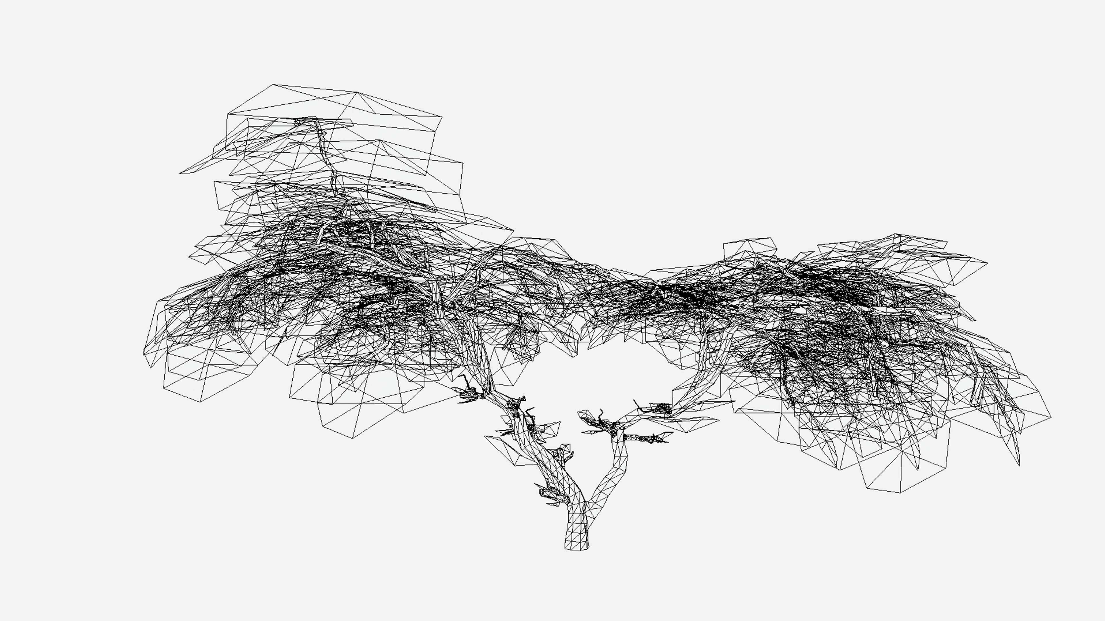 Acacia Tree-S15 Low-poly 3D model_7