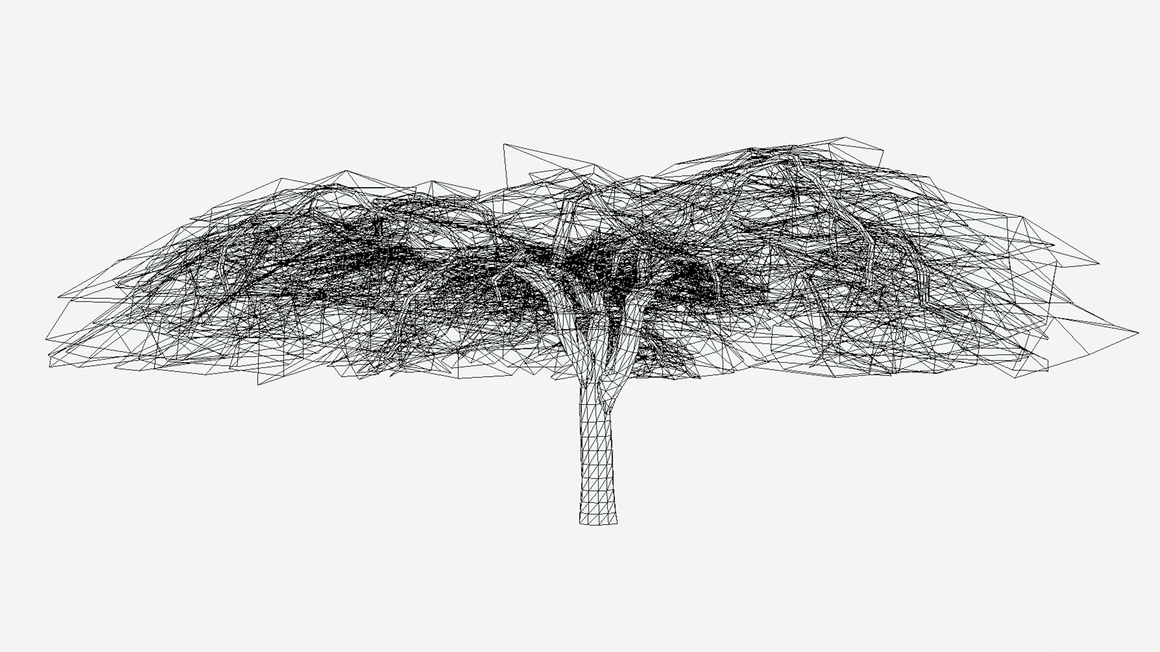 Acacia Tree-S16 Low-poly 3D model_7