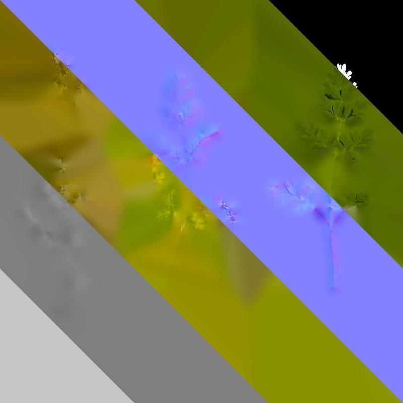 Anydrafts Corydalis edulis Leaf 01 Texture_8