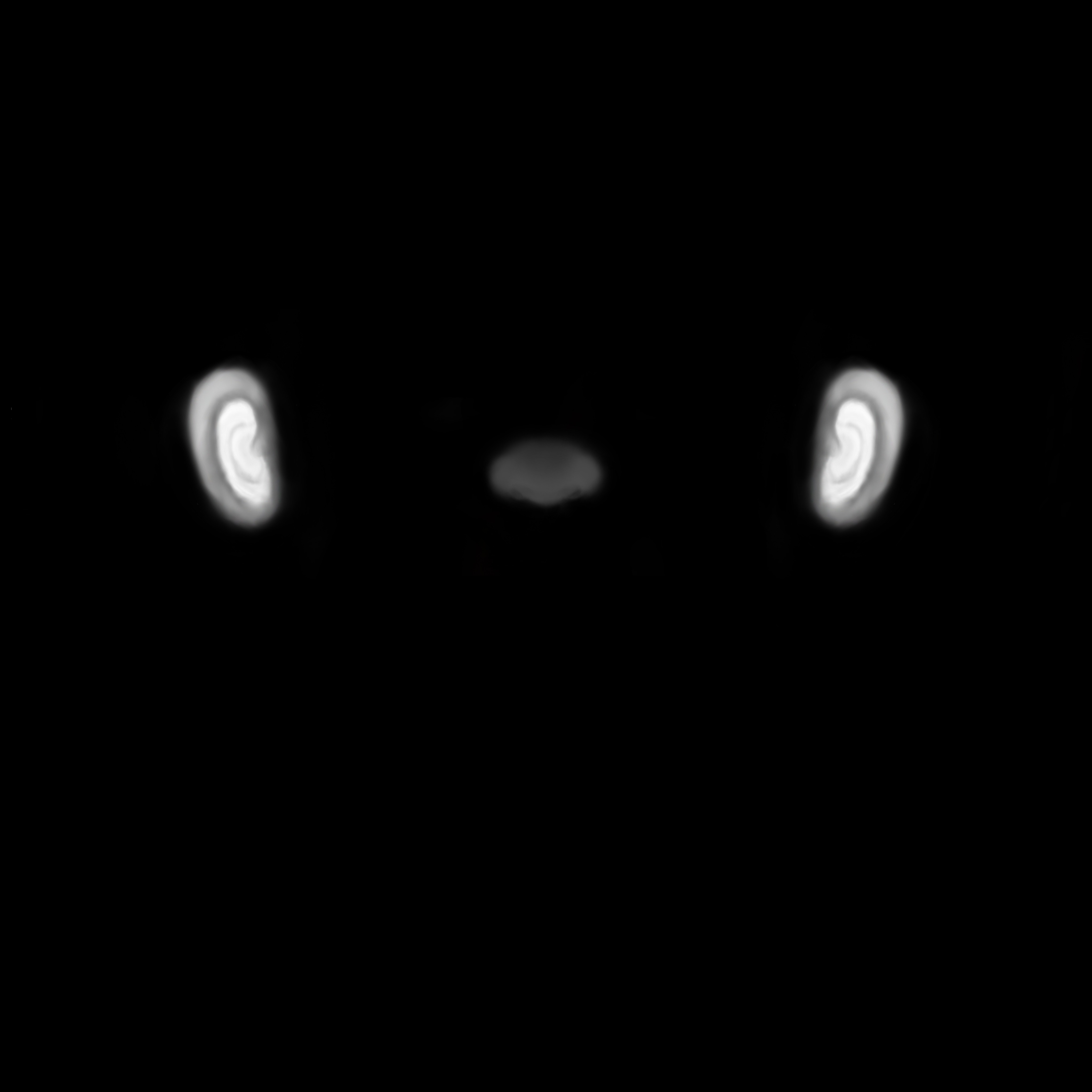 Female Head 3D model_15