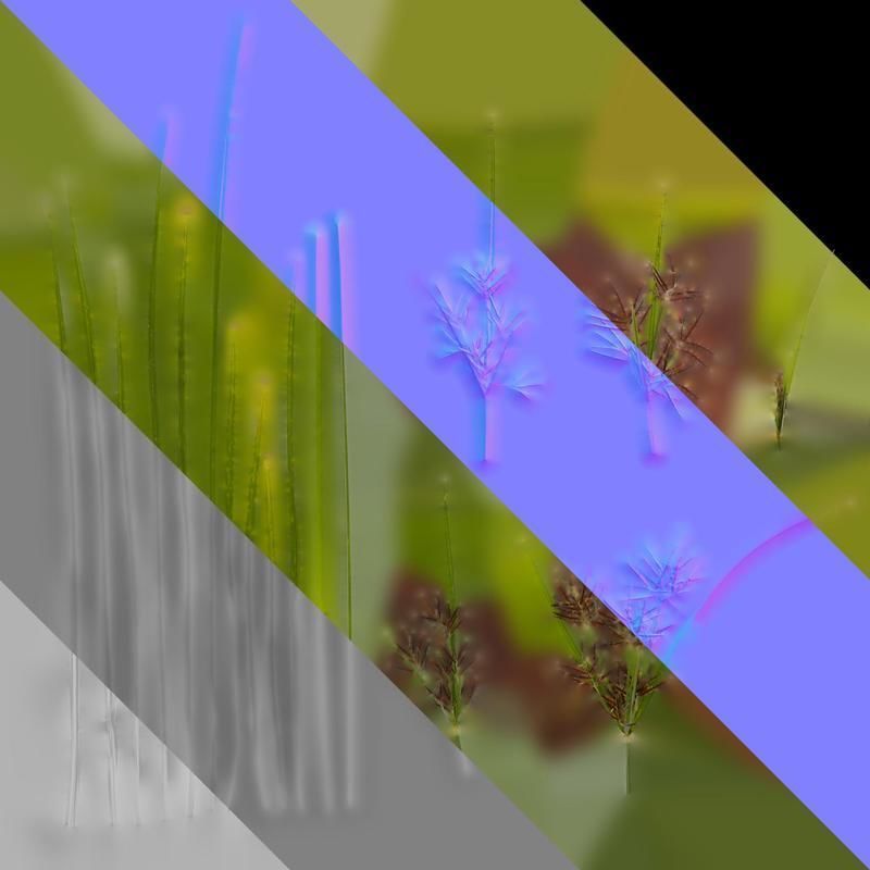 Anydrafts Cyperus rotundus Atlas 04 Texture_8