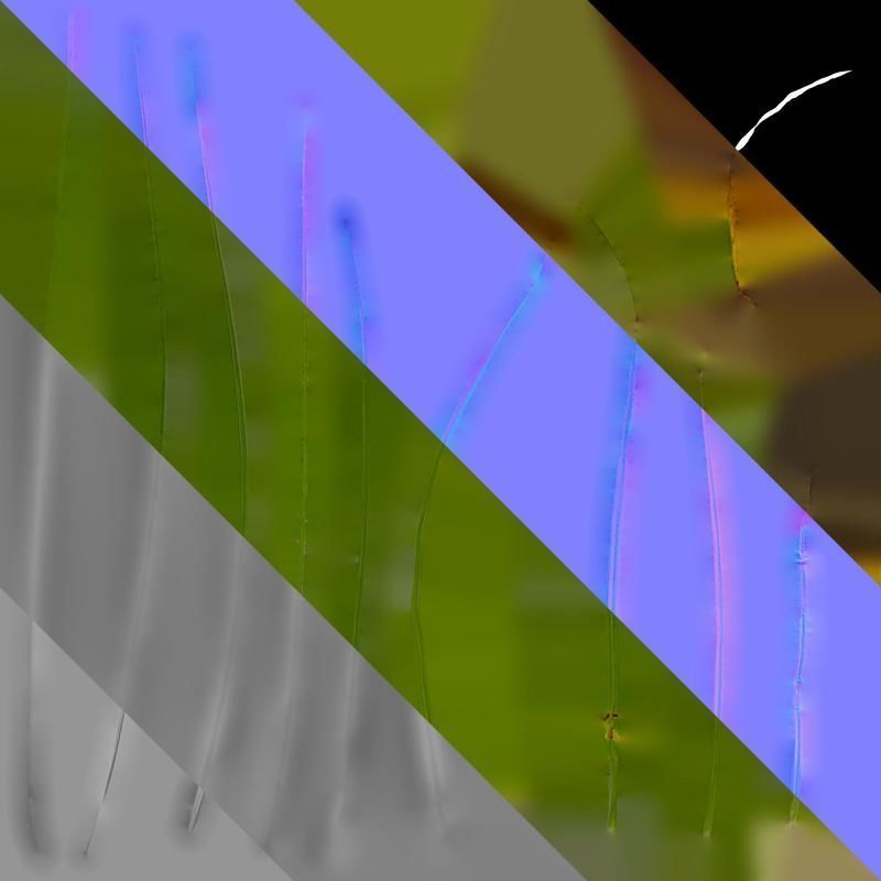 Anydrafts Cyperus rotundus Leaf 01 Texture_8