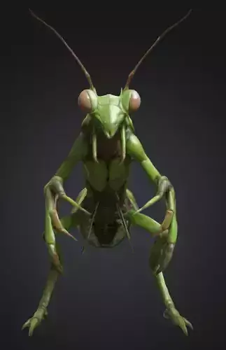 Mantis Humanoid  3D model