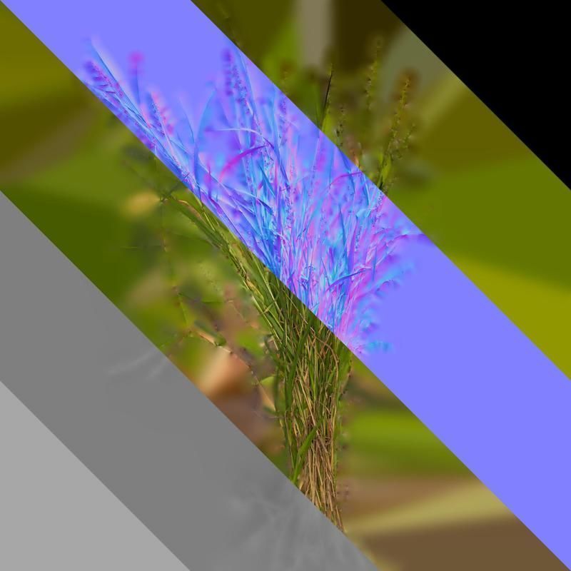 Anydrafts Echinochloa crusgalli Atlas 01 Texture_8