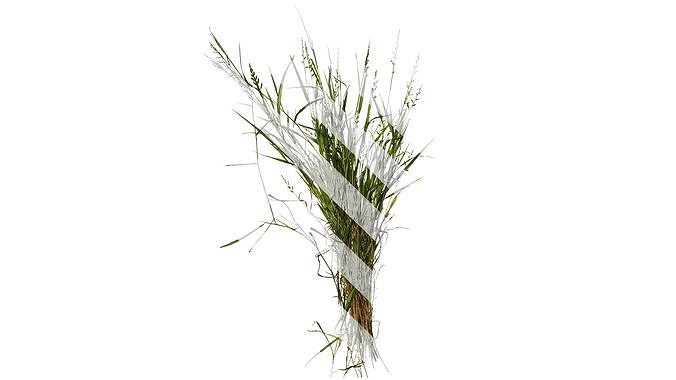 Anydrafts Echinochloa crusgalli Atlas 01 Texture