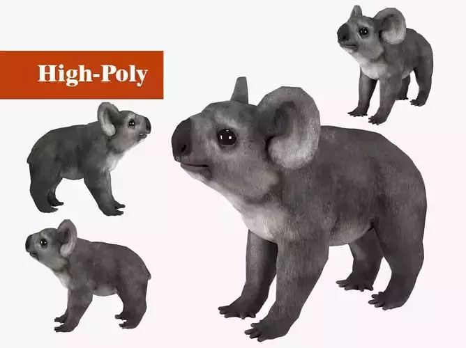 koala  rig  high-poly  textured 3D model