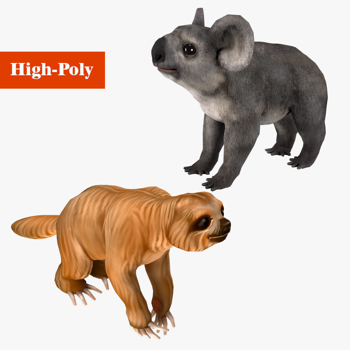 koala sloth rig  high-poly  textured 3D Model Collection_2