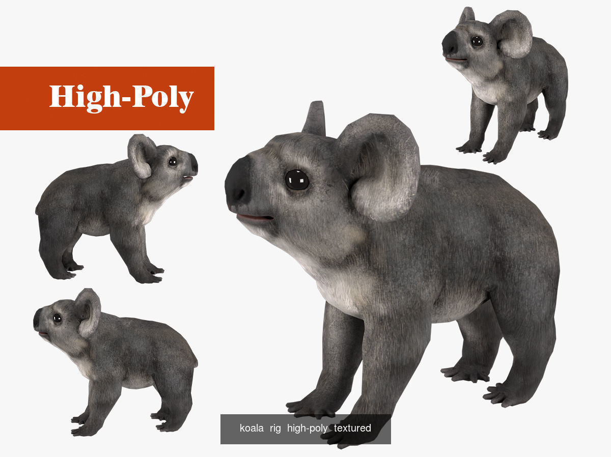 koala sloth rig  high-poly  textured 3D Model Collection_4