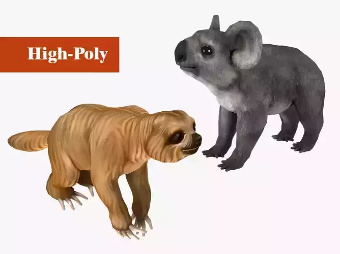 koala sloth rig  high-poly  textured 3D Model Collection