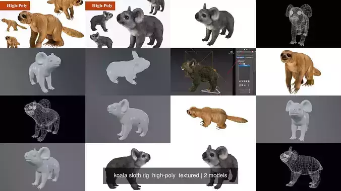 koala sloth rig  high-poly  textured