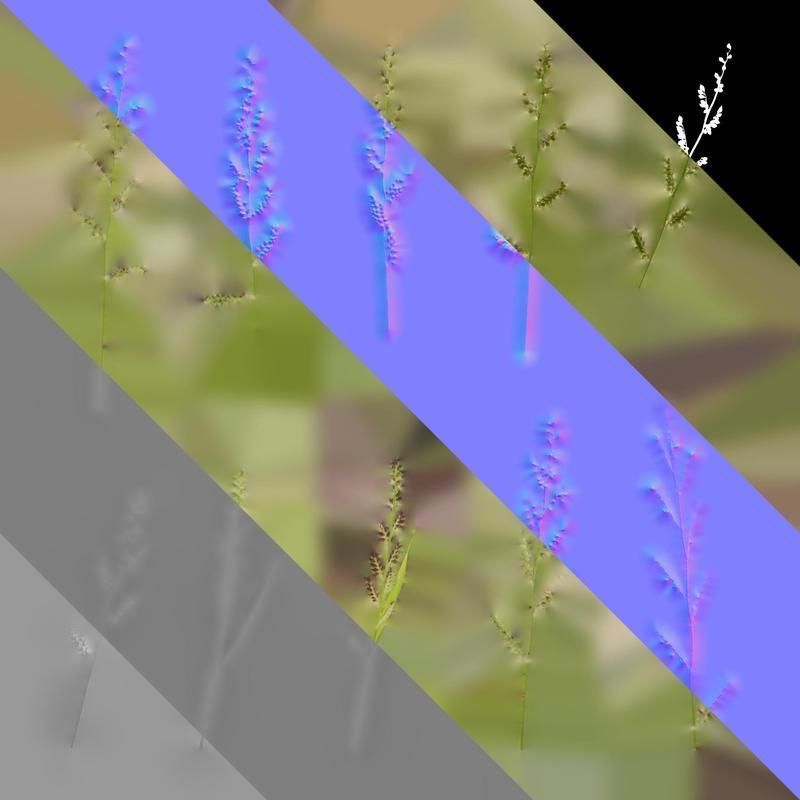 Anydrafts Echinochloa crusgalli Flower 01 Texture_8