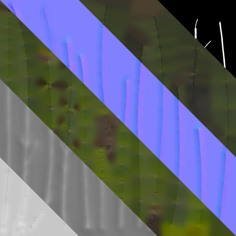 Anydrafts Equisetum hyemale Atlas 02 Texture_8