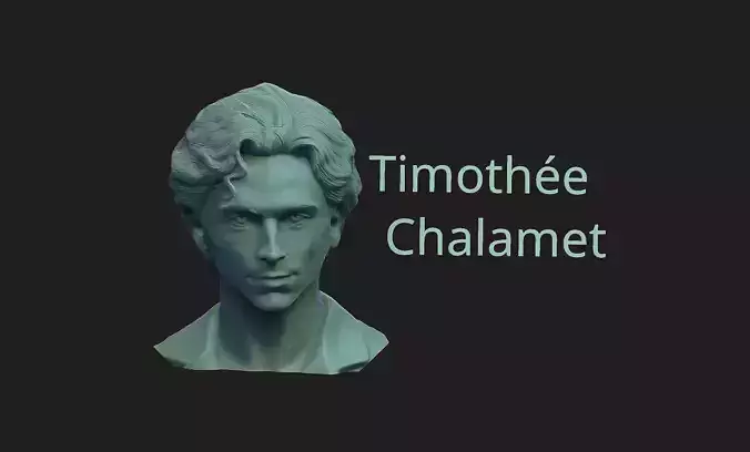 Timothee Chalamet