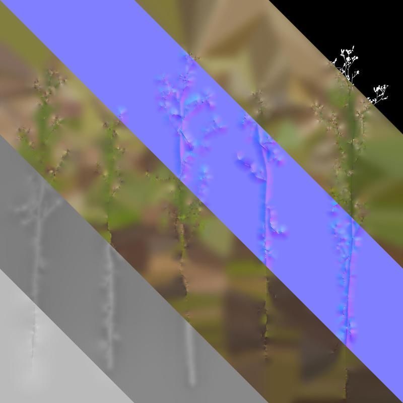 Anydrafts Erigeron canadensis Atlas 03 Texture_8