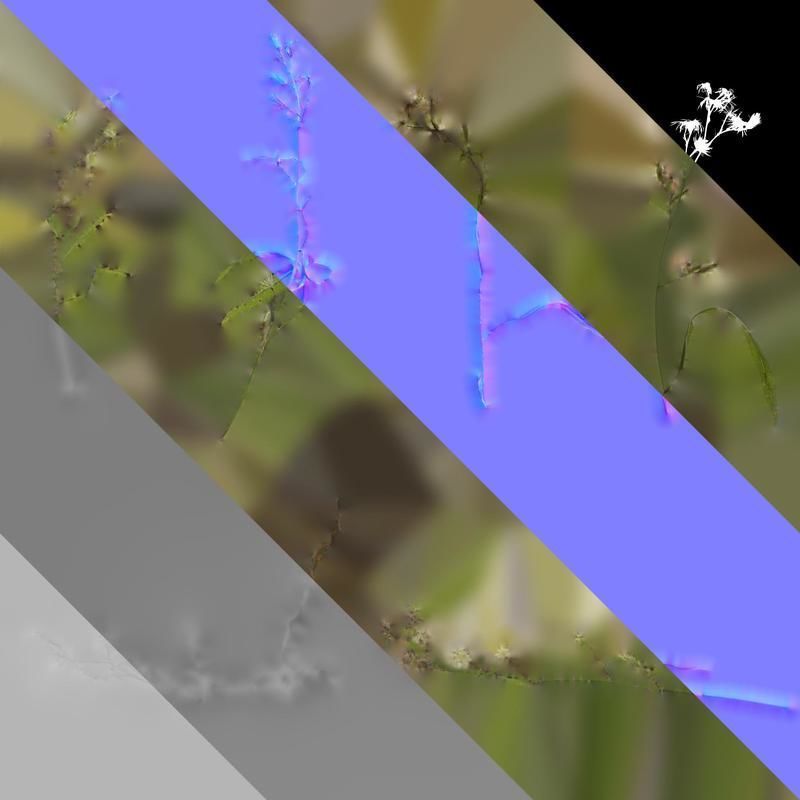 Anydrafts Erigeron canadensis Atlas 06 Texture_8