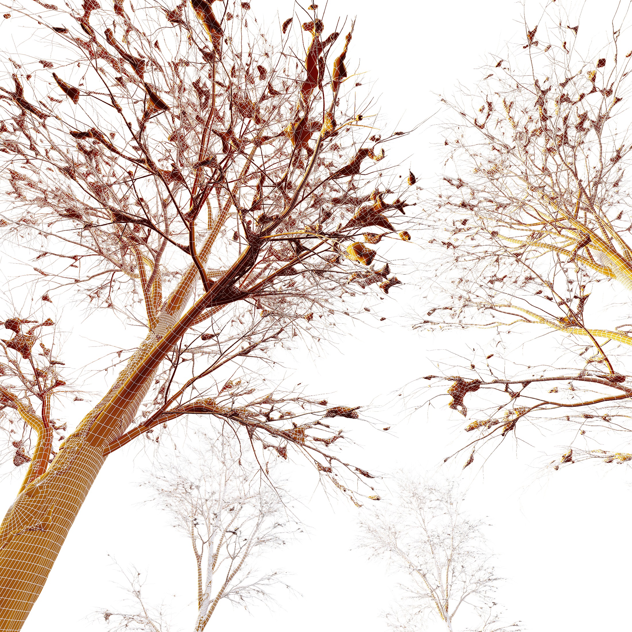 AV Plants Angel Oak Live Tree Spanish Moss Winter Snow Tree 3D model_4