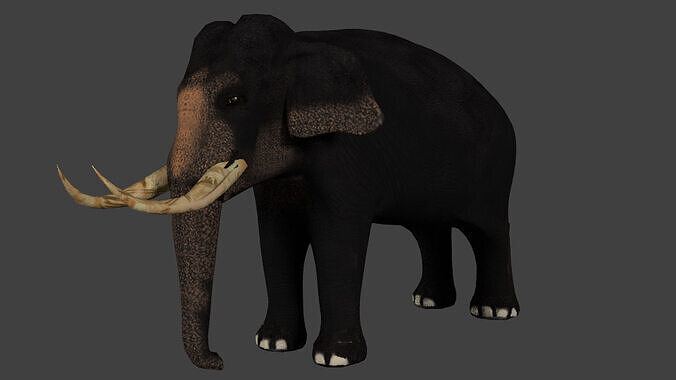 Low Poly Asian Elephant Low-poly 3D model
