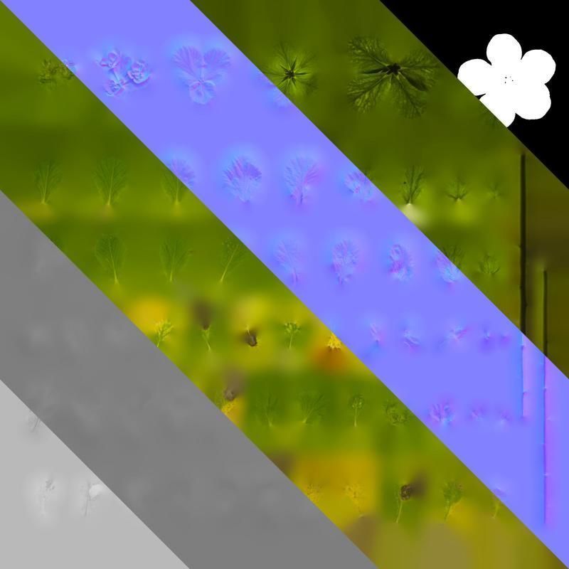 Anydrafts Euphorbia helioscopia Leaf 01 Texture_8