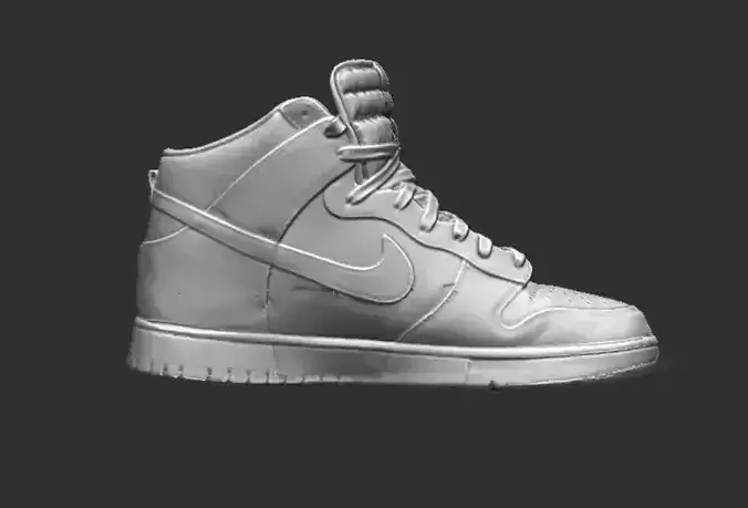 3D Scanned Nike Dunk High 3D print model