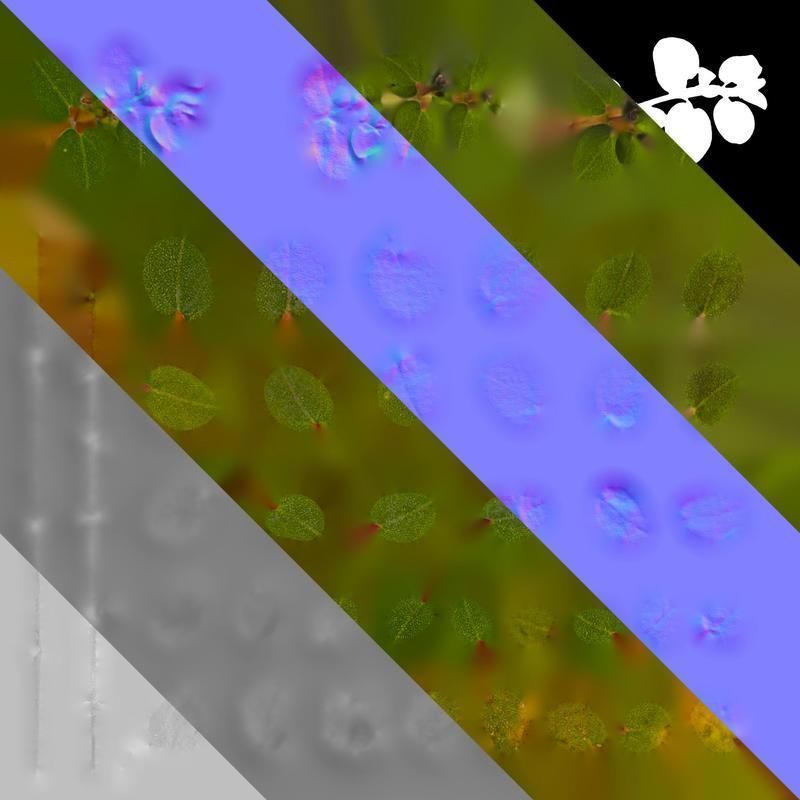 Anydrafts Euphorbia humifusa Atlas 03 Texture_8