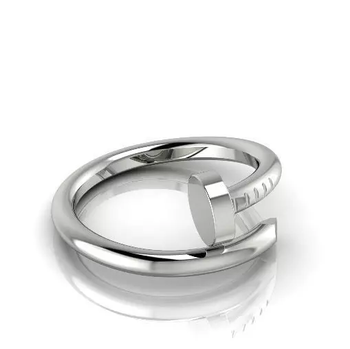 Ring nail N012714 3D print model_0