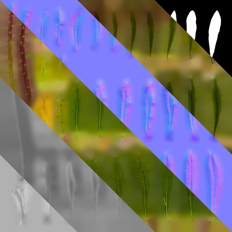 Anydrafts Euphorbia pekinensis Leaf 01 Texture_8