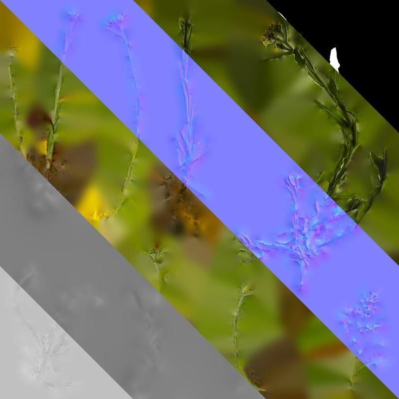 Anydrafts Gnaphalium affine Atlas 01 Texture_8