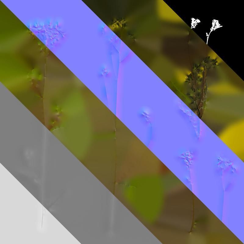 Anydrafts Ixeris polycephala Atlas 01 Texture_8