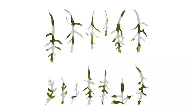 Anydrafts Ixeris polycephala Leaf 01