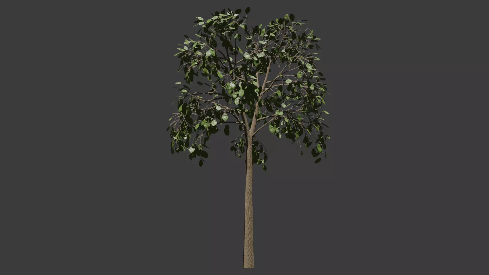 Decorative Tree Free low-poly 3D model