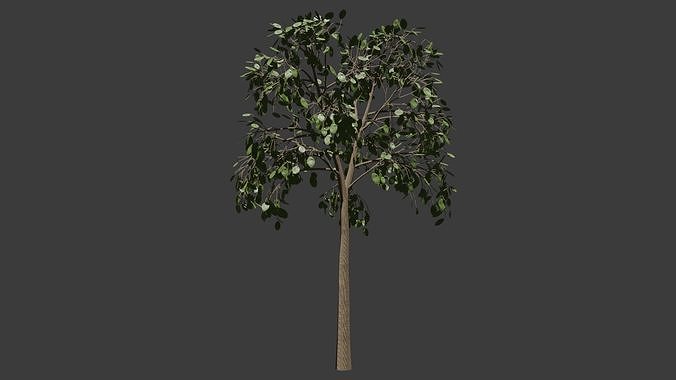 Decorative Tree Free low-poly 3D model