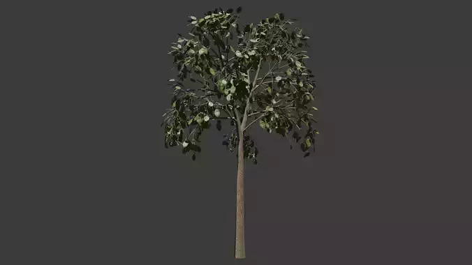 Decorative Tree