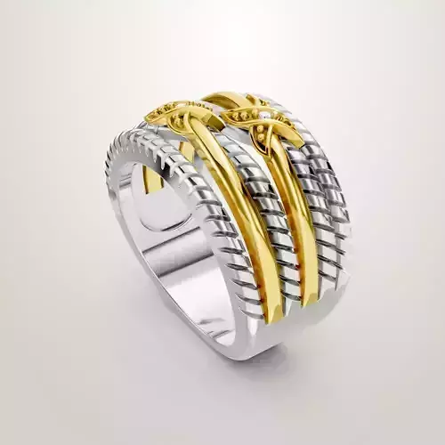 Gold and Silver Statement Rings for Women Wire Intertwined  3D print model
