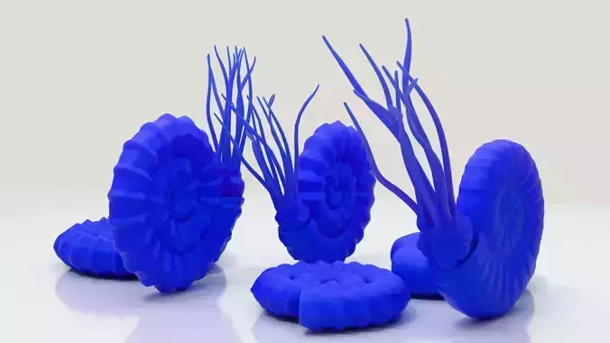 Ammonite - amonoids - three different - print