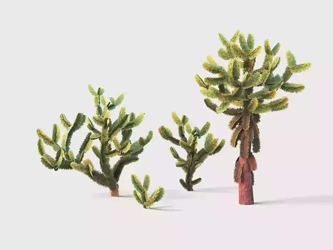 Jumping cholla Low-poly 3D model