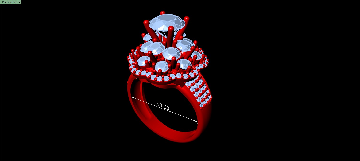Women Ring 175 3D print model_4