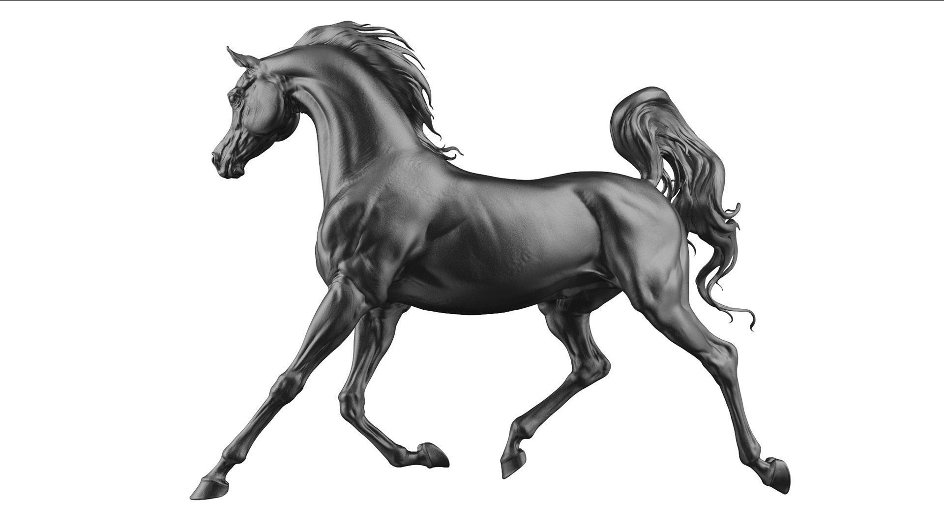 3 Horses 3D Model Collection_11