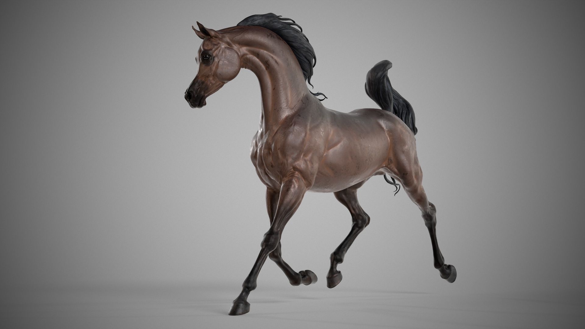 3 Horses 3D Model Collection_4