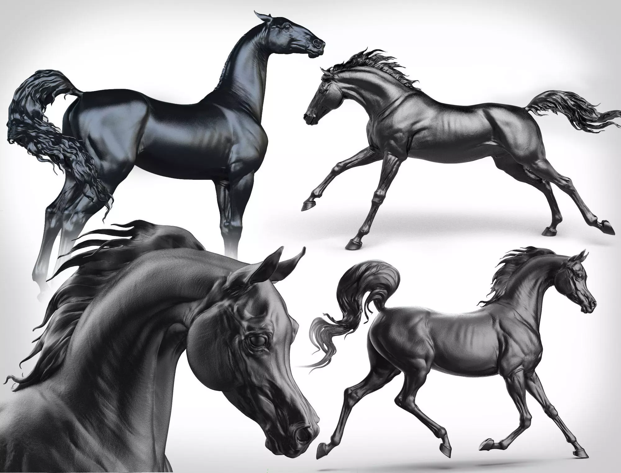 3 Horses 3D Model Collection_0