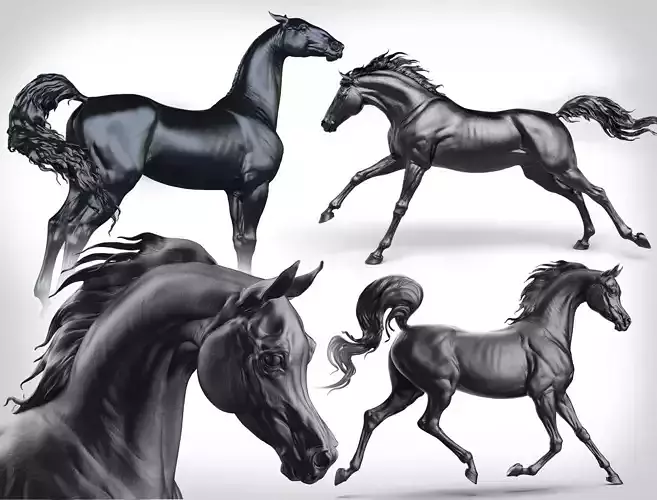 3 Horses 3D Model Collection