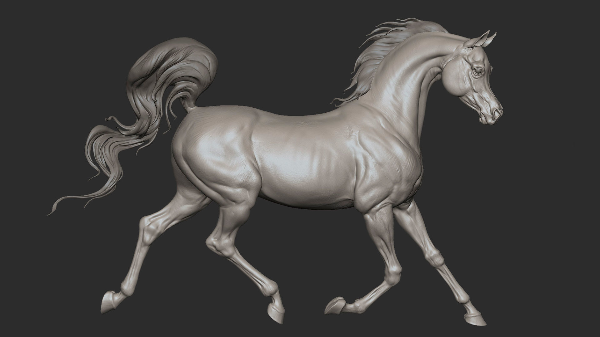 3 Horses 3D Model Collection_15