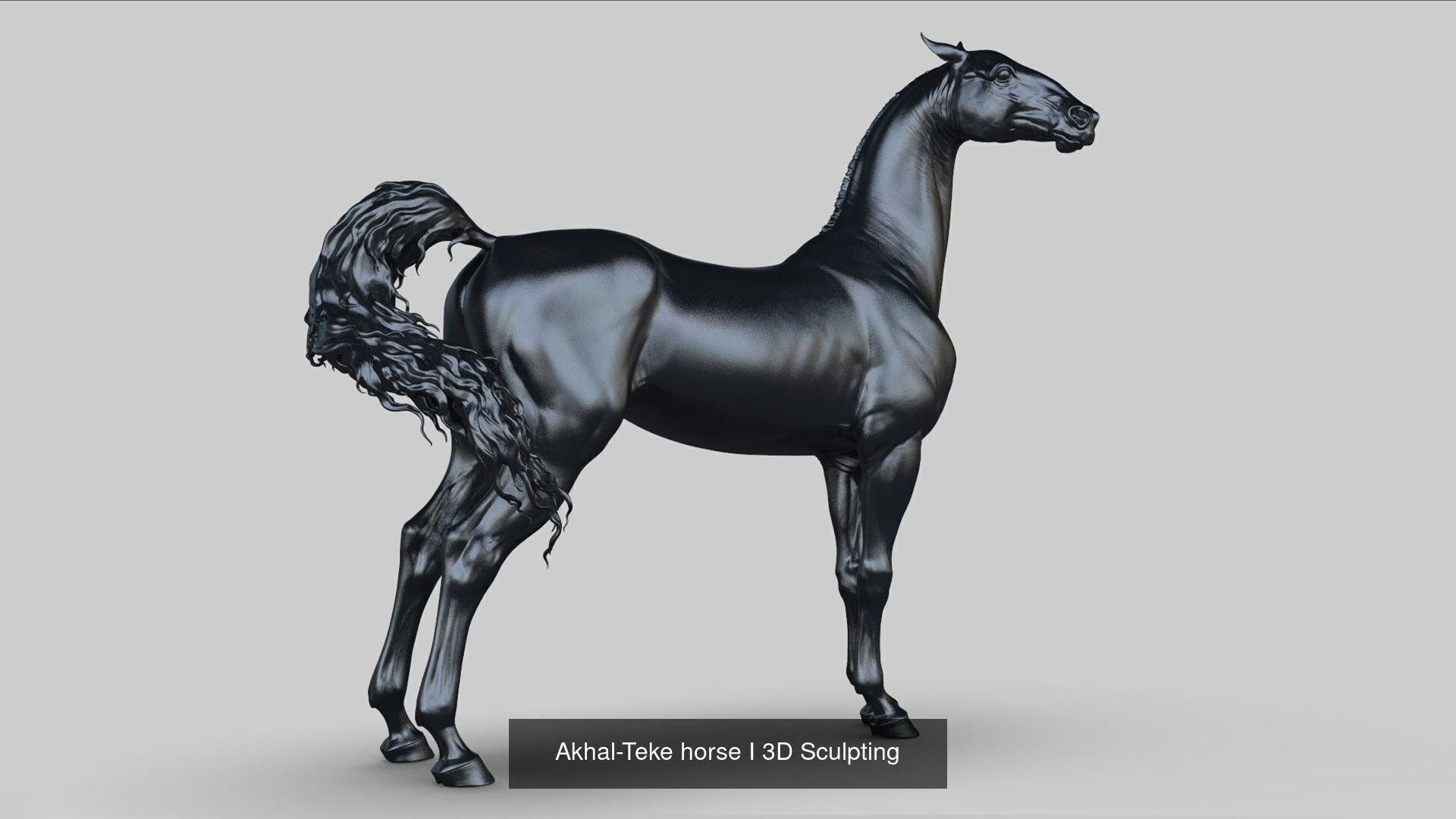 3 Horses 3D Model Collection_7