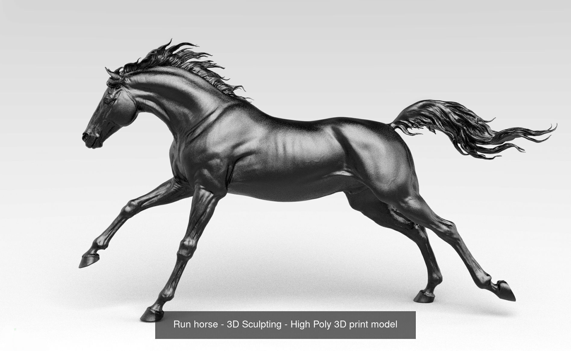 3 Horses 3D Model Collection_5