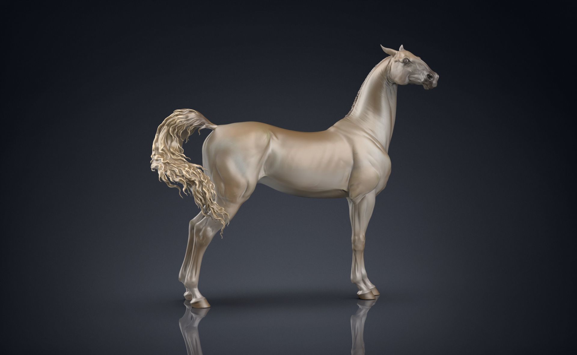 3 Horses 3D Model Collection_23