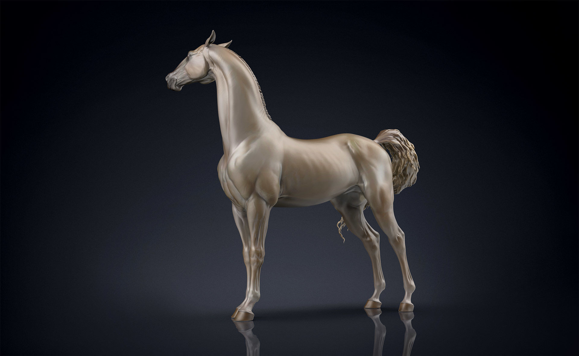 3 Horses 3D Model Collection_24