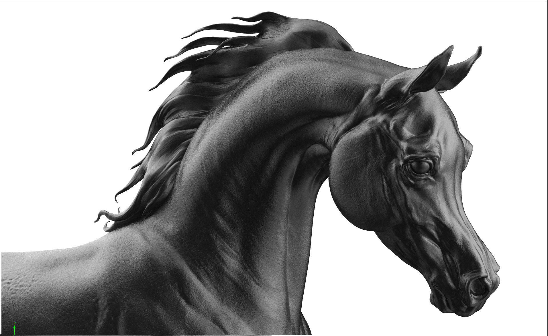 3 Horses 3D Model Collection_9