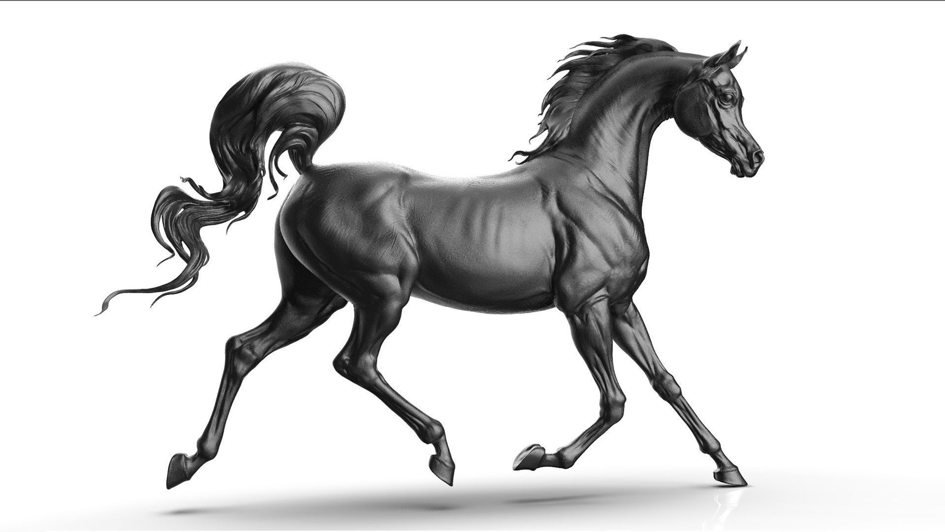 3 Horses 3D Model Collection_12